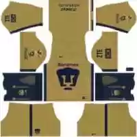 Free download Pumas[1] free photo or picture to be edited with GIMP online image editor